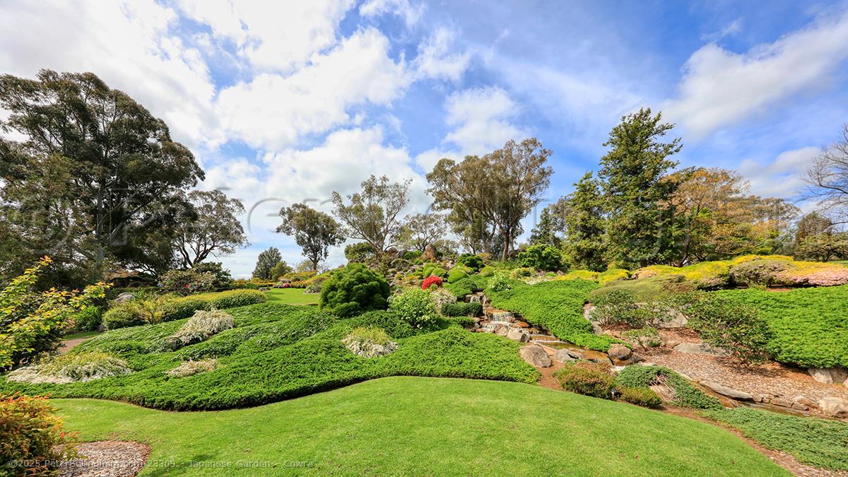 Peter Bellingham Photography Japanese Garden - Cowra